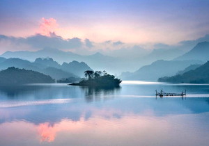 黄精桂圆茶